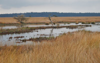 Nationaal Park Hoge Veluwe